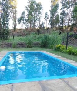 een blauw zwembad in een tuin bij Los nogales in Tandil