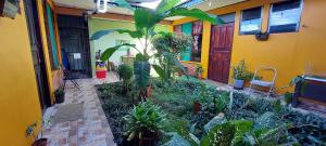 une cour avec des plantes devant un bâtiment dans l'établissement Hospedaje Doña koko, à Puerto Limón