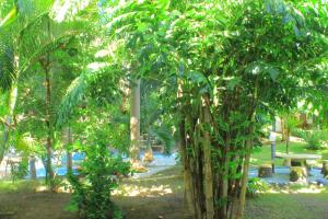 Сад в Hotel Green Prundi