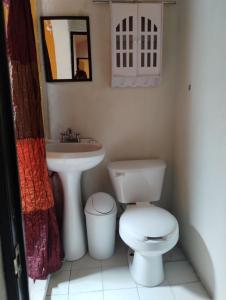 a bathroom with a toilet and a sink at QUINTA SAN LUCAS TLAXCALA 