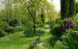 Zahrada ubytování Appartamento con patio privato e giardino tra Pisa e Firenze