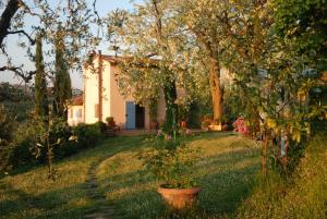 Zahrada ubytování Appartamento con patio privato e giardino tra Pisa e Firenze