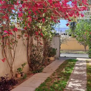 einen Garten mit rosa Blumen auf einem Zaun in der Unterkunft Ayres de Catamarca in San Fernando del Valle de Catamarca