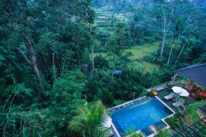 Bazén v ubytování Nata Ubud nebo v jeho okolí