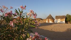 un groupe de maisons dans le désert avec des fleurs roses dans l'établissement Mala Ki Dhani, à Jaisalmer