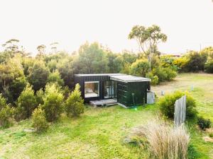 a black tiny house in a field with trees at Tiny House at the Moorings in Dunalley