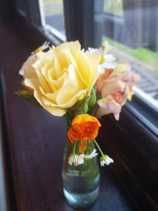 eine Vase voller Blumen, die auf einem Fensterbrett sitzt in der Unterkunft Y Cuddfan Gower in Swansea