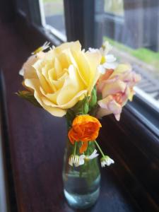 a vase of flowers sitting on a window sill at Y Cuddfan Gower in Swansea