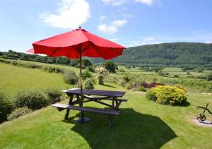 a picnic table with a red umbrella on a field at Carnedd Llywelyn in Llanrwst