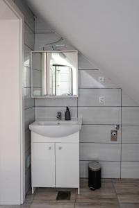 a bathroom with a sink and a mirror at Apartmaji Pr' Kopavank in Rateče