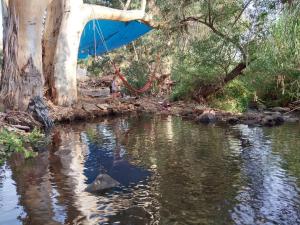 una hamaca colgando de un árbol junto a un río en יחידת אירוח גלילית en Hatzor haglilit
