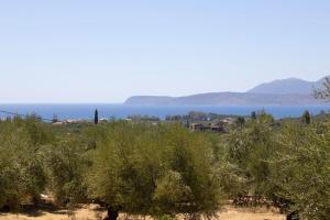 a view of the ocean from the olive trees at Enada Suite & Olive Farm in Gythio