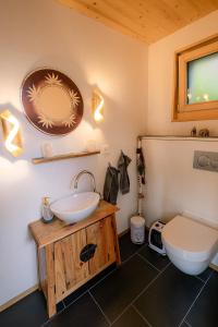 a bathroom with a sink and a toilet at Tiny de l'Aigle in Villeret