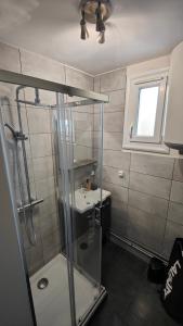 ein Bad mit einer Dusche und einem Waschbecken in der Unterkunft L'Edelweiss Campus & Parking privé securisé in Gières