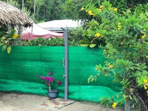 a green fence with a potted plant and flowers at Elisabeth Lodge Vairupe in Bora Bora