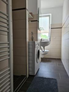 a bathroom with a sink and a toilet and a window at Gästewohnung KL. WZL 38_3 in Klein Wanzleben +8 photos