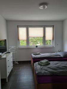 a bedroom with two beds and a desk and two windows at Gästewohnung KL. WZL 38_3 in Klein Wanzleben