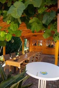 einen Tisch und Stühle in einem Pavillon mit einer großen Pflanze in der Unterkunft Wein- und Gästehaus Michels in Wolf