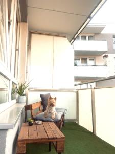Balcone o terrazza di DowntownApartments Carrie
