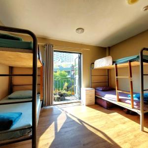 a room with three bunk beds and a window at Boardrider Backpackers and Budget Motel in Sydney