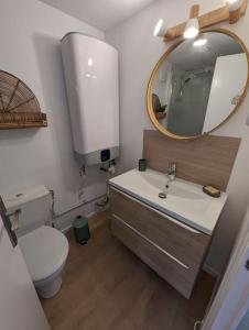 ein Badezimmer mit einem Waschbecken, einem WC und einem Spiegel in der Unterkunft Le Studio Jungle in Digoin