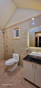 a bathroom with a toilet and a sink and a mirror at GreenChromide Homestays in Munroe Island