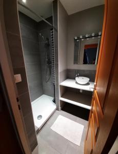 La salle de bains est pourvue d'une douche et d'un lavabo. dans l'établissement Charmante maison 3 chambres avec cour, à Lille