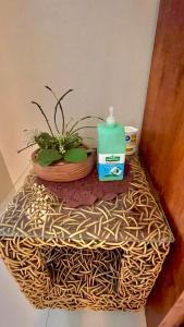 a bottle of soap and a potted plant on a table at Pico De Loro 2BR Carola B Unit with Lagoon View in Nasugbu