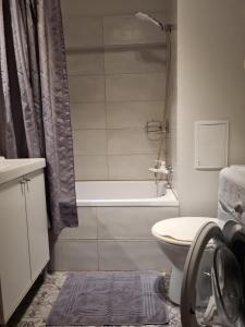 a bathroom with a tub and a toilet and a shower at Lovely 1-bedroom condo in Riga
