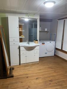 a bathroom with a sink and a washing machine at Le Nid in Éclaron +21 photos