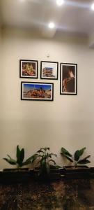 a white wall with four pictures on it at Bhagyashree Guest House in Varanasi