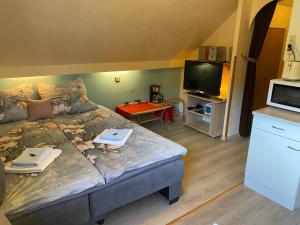 een kleine kamer met een bed en een televisie bij Birkenstübchen in Lautenthal