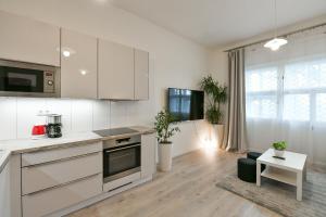 Kuchyň nebo kuchyňský kout v ubytování Kubelíkova 32 Residence