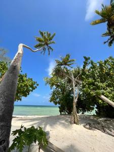 vistas a una playa con palmeras y al océano en Y Residential Luxury Villas, en Dikoni