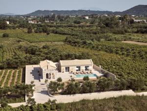 an aerial view of a house in a vineyard at Uvetta Villa in Makhairádhon