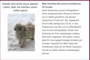 a page of a flyer with a dog in the snow at Hotel Angela in Lech am Arlberg