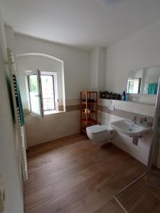 uma casa de banho com um WC, um lavatório e uma janela em kleine 1-Raum-Ferienwohnung mit hohem Komfort em Teuchern