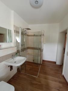 uma casa de banho com um lavatório branco e um chuveiro em kleine 1-Raum-Ferienwohnung mit hohem Komfort em Teuchern