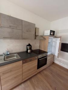 uma pequena cozinha com um lavatório e um fogão em kleine 1-Raum-Ferienwohnung mit hohem Komfort em Teuchern