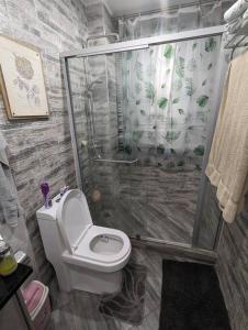 a bathroom with a toilet and a glass shower at Urban oasis in kingsland city in Lusaka