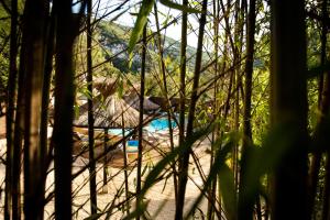 - une vue sur la piscine à travers les arbres dans l'établissement Le Belvedere, à Vallon-Pont-dʼArc