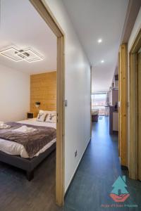 1 dormitorio con cama y espejo grande en Chez Stella 3 chambres neuf plein centre en Huez