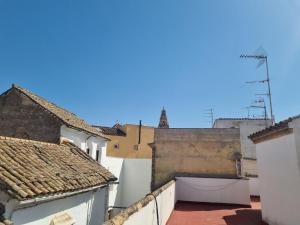 a view of the rooftops of buildings at Apartamentos en Patio Cordobés San Basilio in Córdoba