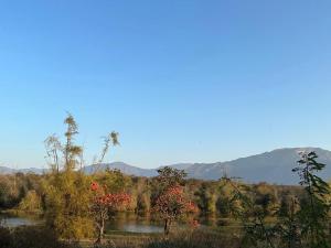 vista su un fiume con montagne sullo sfondo di Captain's Cabin a Masinagudi