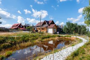 una casa en un pueblo con un estanque en Cabana Diva en Finciu