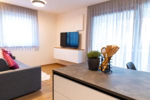 uma sala de estar com um sofá e uma televisão de ecrã plano em Appartement Sonnlicht em Falzes