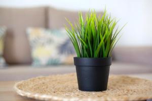 Φωτογραφία από το άλμπουμ του Casa Muley σε El Matorral