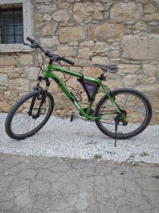 una bicicleta verde estacionada junto a una pared de piedra en Apartman Lari, en Vižinada