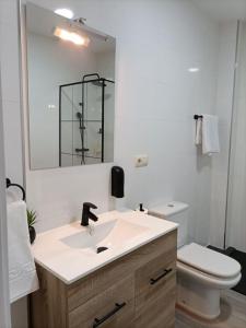 a bathroom with a sink and a toilet and a mirror at Pensión Os Mollados in O Pedrouzo