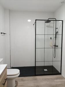 uma casa de banho com uma cabina de duche em vidro e um WC. em Pensión Os Mollados em O Pedrouzo
